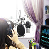 Professional Studio Vocal Recording Mic Condenser Microphone With Boom Holder Set ( karaoke, Recording & Broadcasting)