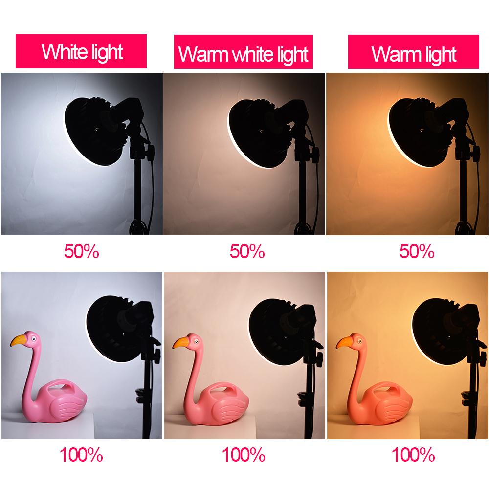 2 Head Contionous LED BiColor 750w Beginners Light Kit ( E27 Bulb Holder)