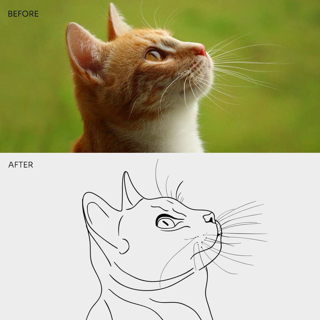 Vectorization